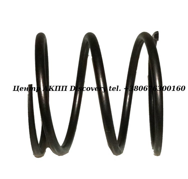 Coil Spring Primary Pulley Piston REOFO9A (Used)