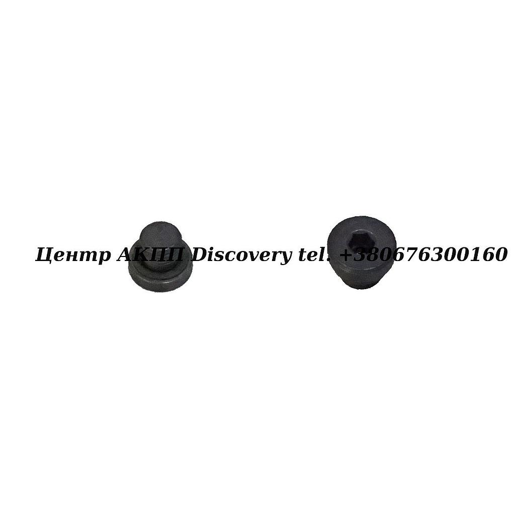 SCREW PLUG ZF 