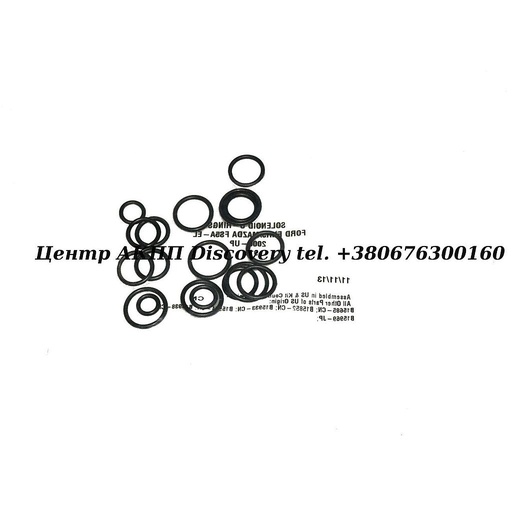 [48001] Комплект Ущільнень Електроклапанів FNR5 (Transtar)