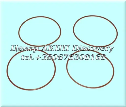 [318002/4] O-rings for double clutch hub 6DCT450 (Autoline)