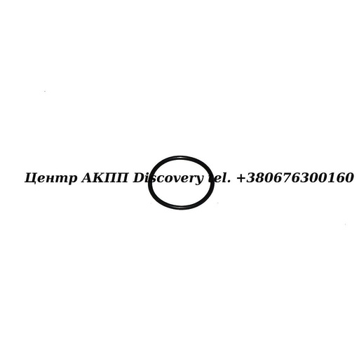 [0734313190] Ущільнююче Кільце Поршня Гідравлічного Блоку 5HP19BMW (ZF)