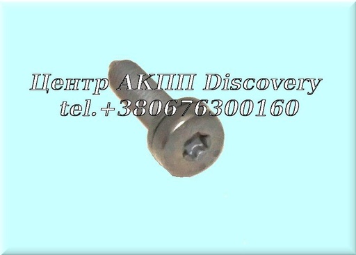 [0736101432] Bolt oil pan 5HP19/5HP24 (ZF)
