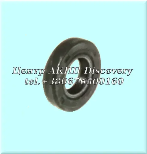 [229072A] Seal Selector Shaft M78 (NAK)