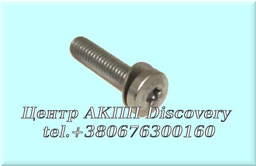 [0736101194] Болт Масляного Піддона 5HP30 (ZF)